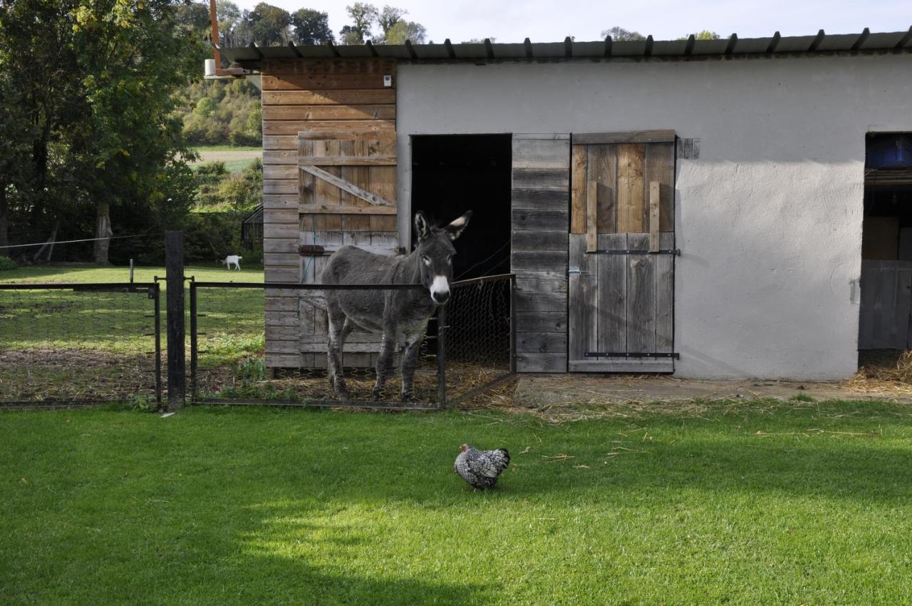 La Maison Du Bonheur "Le Gite" Saint-Ouen-sous-Bailly Buitenkant foto
